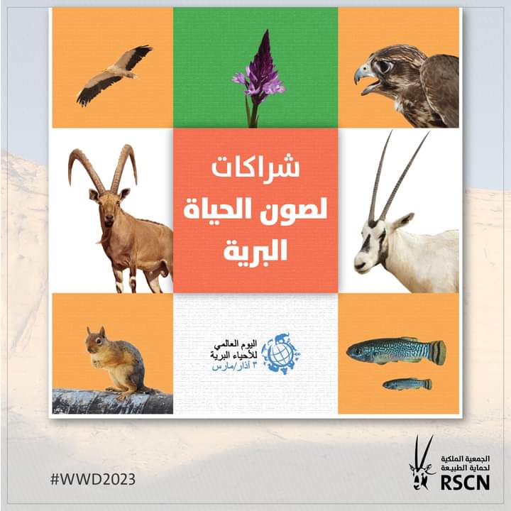 الجمعية الملكية لحماية الطبيعة : الأردن يحتفل مع العالم باليوم العالمي للأحياء البرية  