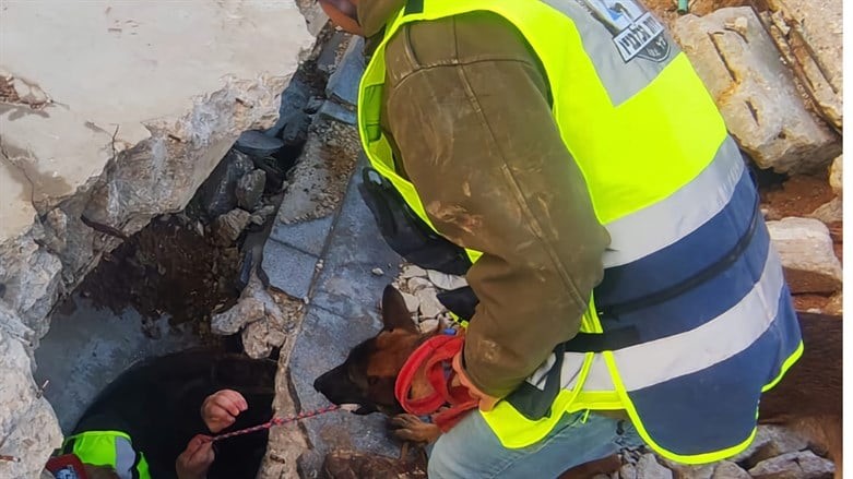 وحدة الكلاب في إسرائيل تعمل للمساعدة في الاستعداد لزلزال في إسرائيل  نفس الذي شهدته تركيا مؤخرًا