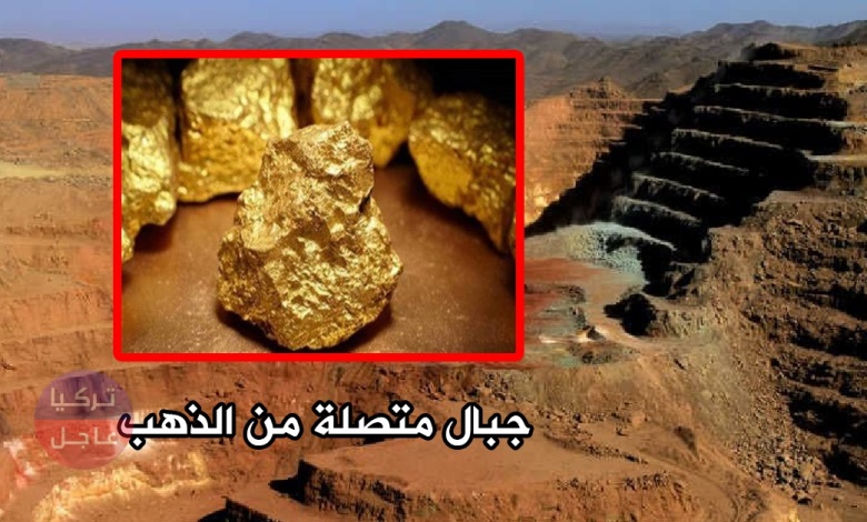 ماذا تعرف عن جبال بني عامر المليئة بالذهب؟