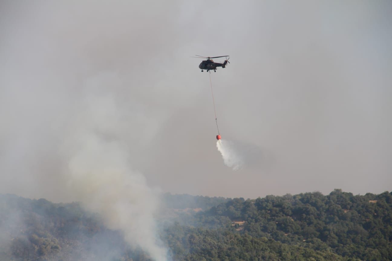 الدفاع المدني يتعامل الآن مع حريق اعشاب جافة وأشجار حرجيه  بمحافظة عجلون