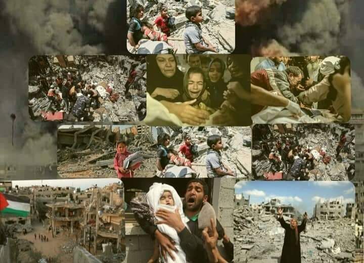 إلين غازي غِنمة تكتب " غزة والإنسانية العالمية" 